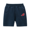 Boys Dinosaur Embroidered Cotton Shorts - Beekee