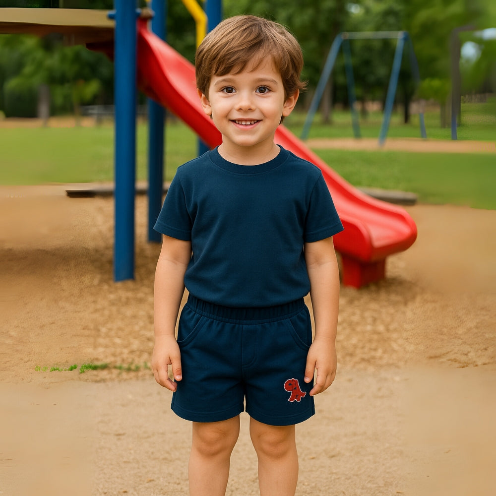 Boys Dinosaur Embroidered Cotton Shorts - Beekee