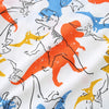 Jurassic Print Dinosaur T-Shirt and Shorts Set - Beekee