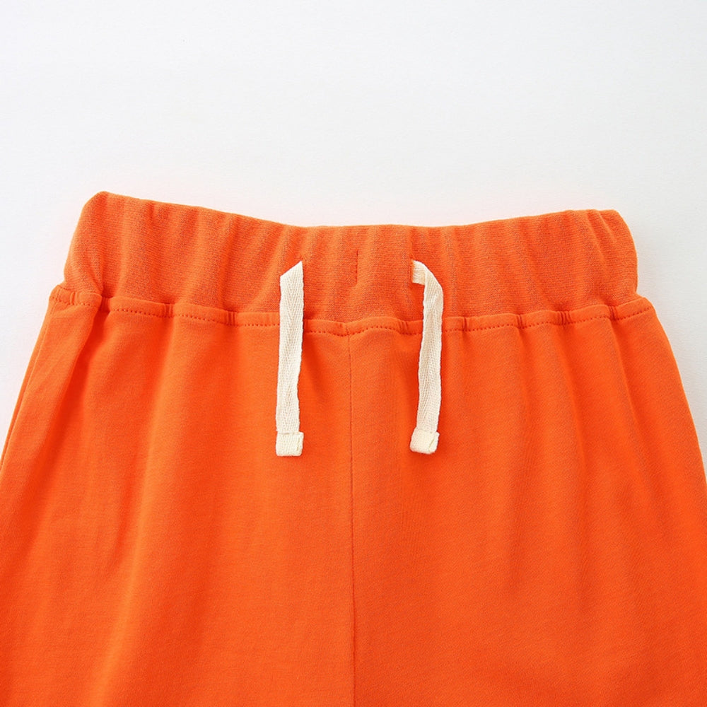 Safari Friends T-Shirt and Shorts Set - Beekee