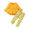 3-Piece Fall Clothing Set for Baby Girls – Solid Long Sleeve Top with Floral Print