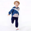 Fun Dinosaur Print Sweatshirt and Jogger Set - Beekee