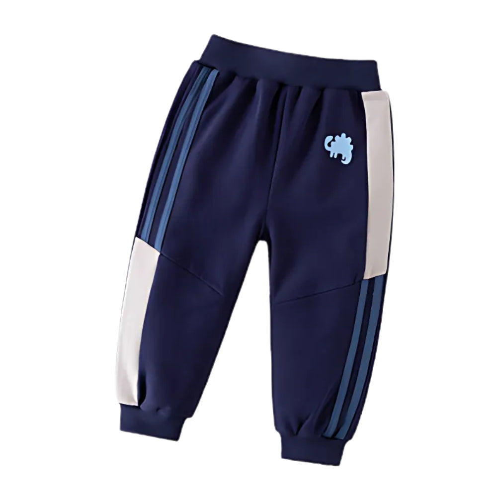 Fun Dinosaur Print Sweatshirt and Jogger Set - Beekee