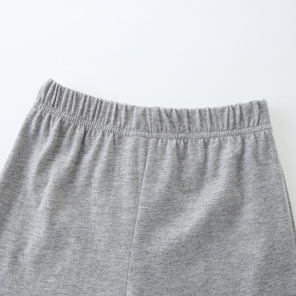 Wild Dinosaur T-Shirt and Shorts Set - Beekee