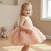 Sweet Rosette Tulle Party Dress for Baby Girls - Beekee