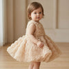 Sweet Rosette Tulle Party Dress for Baby Girls - Beekee